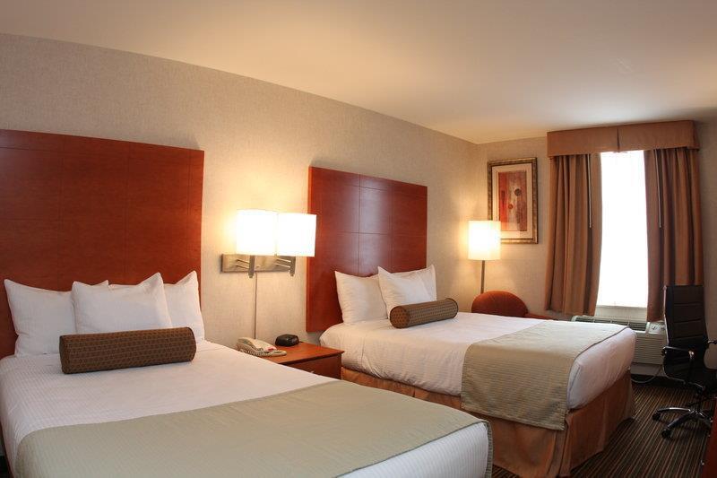 Best Western Jfk Airport New York Oda fotoğraf